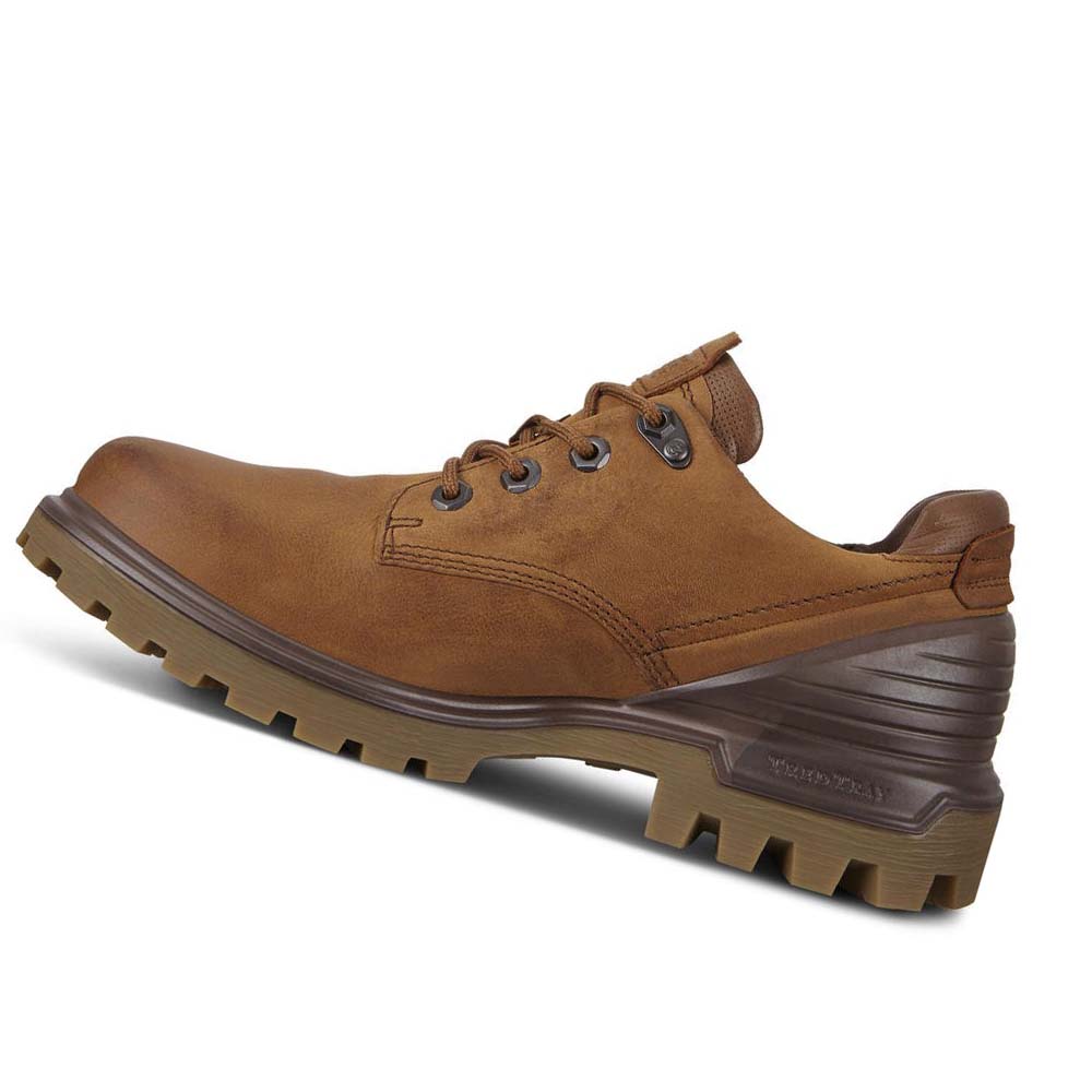 Men's Ecco Tredtray Hiking & Trail Brown | SG 575PJJ